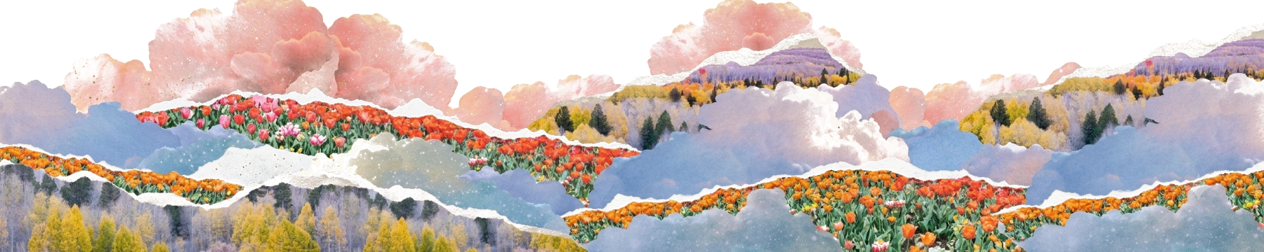 Paisagem em colagem — onde trabalho encontra identidade